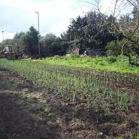 Su Barroccu Riola Sardo